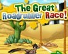 Diego And The Great Roadrunner Race Game