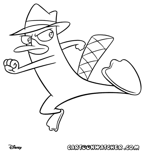 agent p from phineas and ferb coloring page  phineas and