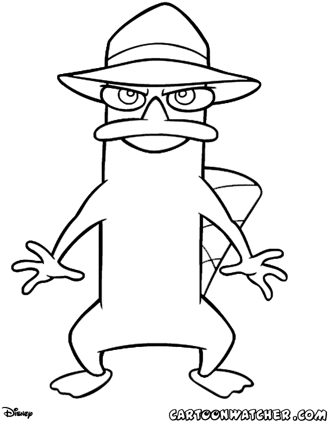 Agent P coloring page - Perry Coloring - Phineas and Ferb coloring pages