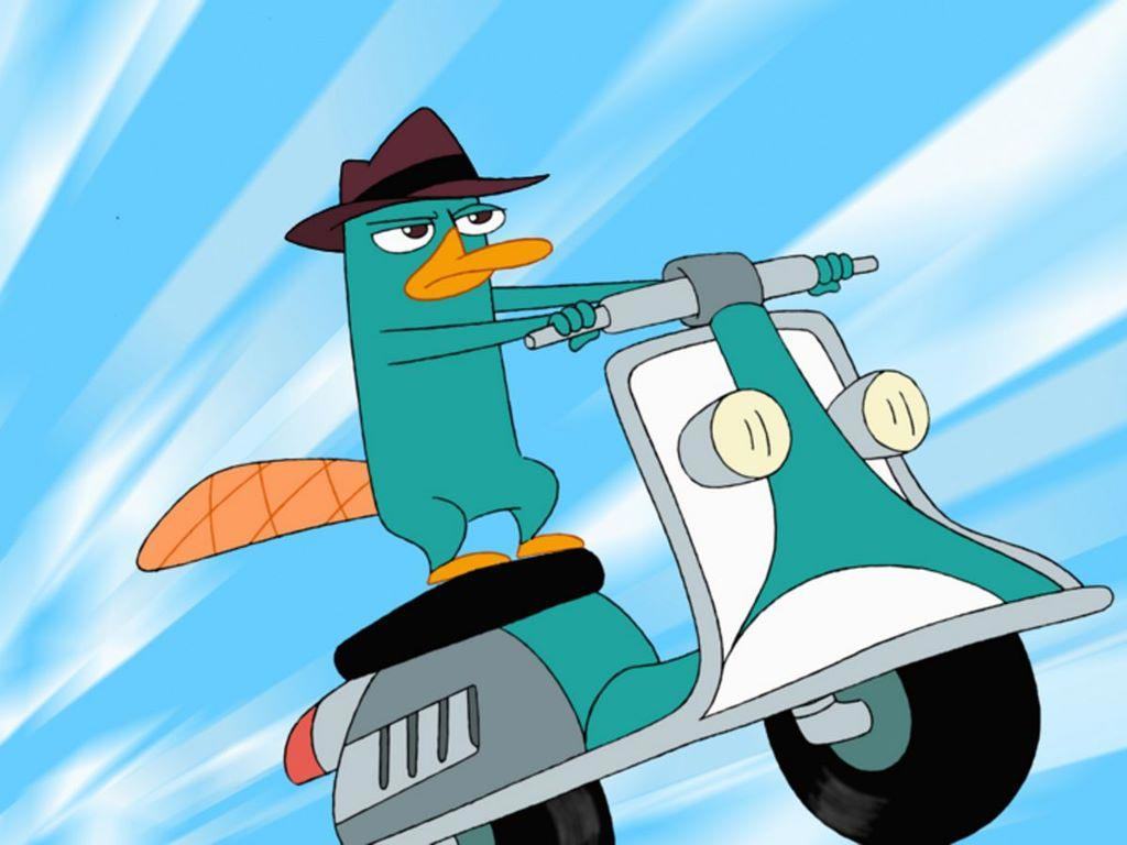 Phineas and Ferb Perry Wallpaper