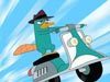 Phineas and Ferb Perry Wallpaper