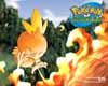 Pokemon Ranger Wallpaper of Torchic